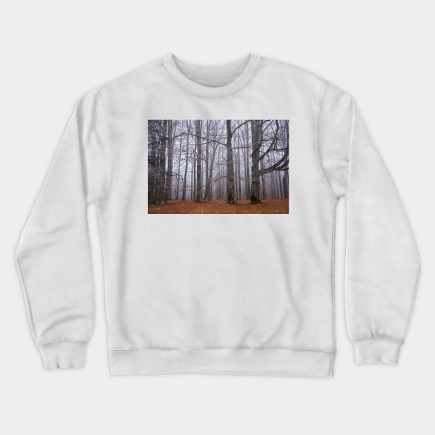 Winter landscape with frost on trees Crewneck Sweatshirt by naturalis